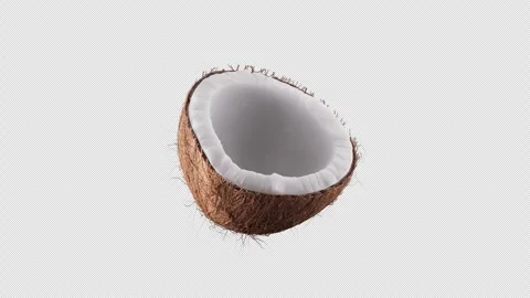3D animation of a coconut rotating around its axis. Alpha Channel. Stock Footage 285151981