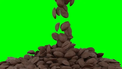 3d animation of Coffee beans fall onto a pile isolated on green screen back.. Stock Footage 336787912