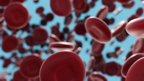 A 3d animation of continuous flow of erythrocytes Stock Footage 340238953