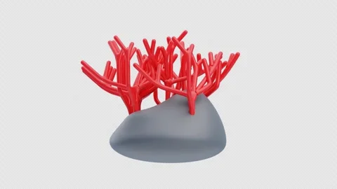 3D Animation of Coral Reefs Stock Footage 298838631