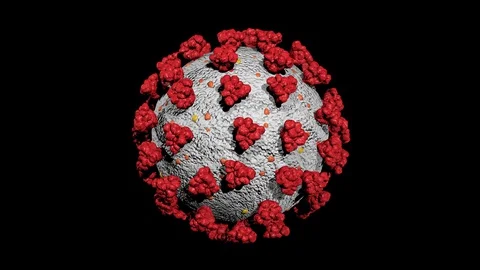3D animation of the Coronavirus rotating Seamless loop on Black COVID-19 Vidéo 127946907