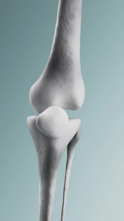 3D Animation Demonstration of Knee Joint Repair Stock Footage 325163699