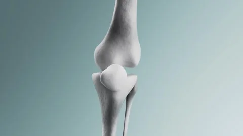 3D Animation Demonstration of Knee Joint Repair Stock Footage 325163702