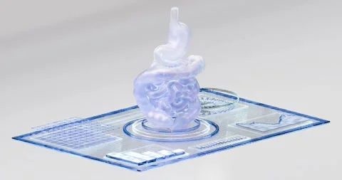 3D animation of the digestive system takes a turn on a digital tablet with m Stock Footage 315852721