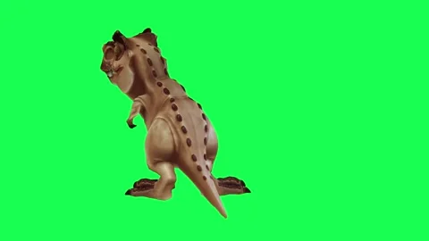 3D animation of a dinosaur exercising from the back view of the Chromaki green s Stock-Footage 245358387
