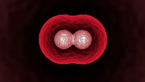 3d animation of Dividing And Multiplying Cells Stock Footage 130612743