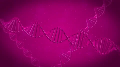 3D animation of DNA. DNA chain under the microscope. Stock Footage 55157178