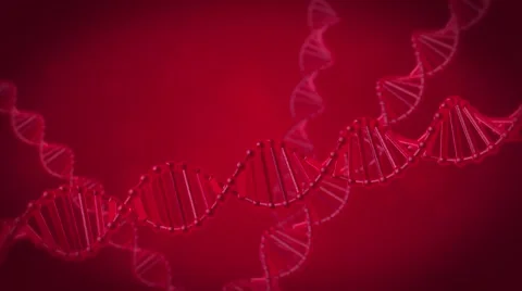 3D animation of DNA. DNA chain under the microscope. Stock Footage 55157179