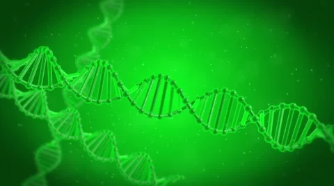 3D animation of DNA. DNA chain under the microscope. Stock Footage 55157183