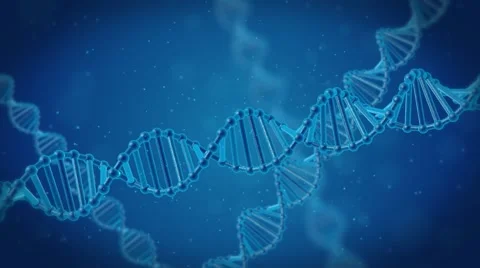 3D animation of DNA. DNA chain under the... | Stock Video | Pond5