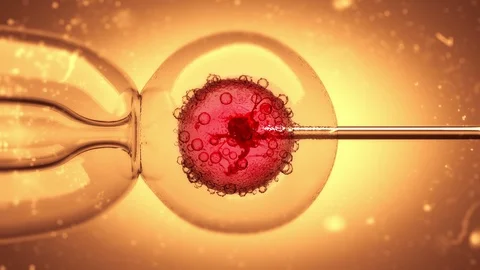 3D Animation of a DNA filled liquid being injected into an egg cell nucleus Vidéo 100156743
