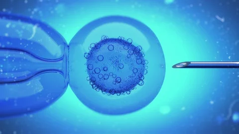 3D Animation of a DNA filled liquid being injected into an egg cell nucleus Stock Footage 100156747