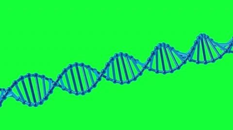 3D animation of DNA on a green background. DNA chain with green screen. Stock Footage 55157223
