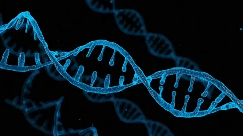 3D animation of DNA Molecule. Stock Footage 135445598