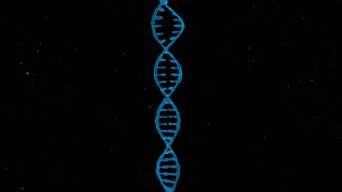 3D animation of DNA Molecule. Stock Footage 135511876