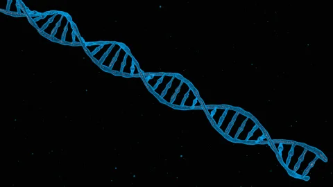 3D animation of DNA Molecule. Stock Footage 135517508