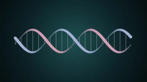 3D animation of DNA strand rotating in 4K resolution Video stock 345014224