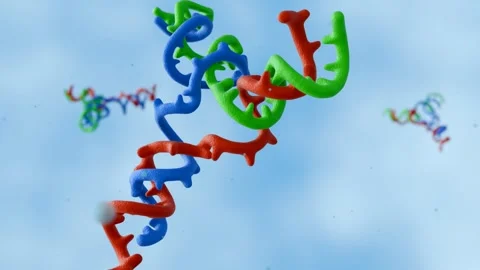 A 3d animation of DNA three-way junction molecules Stock Footage 311757103