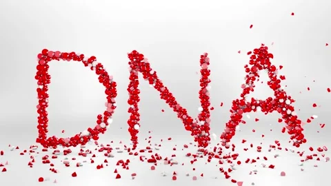 3d animation of DNA word Stock Footage 166144030