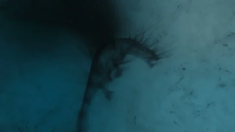 3d animation of a dragon in flight, ready to attack. Beast built from particles Stock Footage 343513421