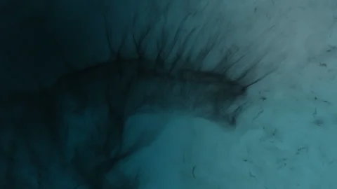 3d animation of a dragon in flight, ready to attack. Beast built from particles Stock Footage 343513484
