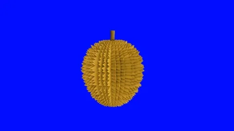 3d animation of durian on blue background Stock Footage 239852300