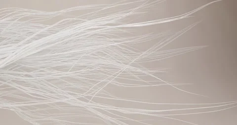 3d animation of dynamic growth and movement to the right of white, thin fibe Stock Footage 335826979