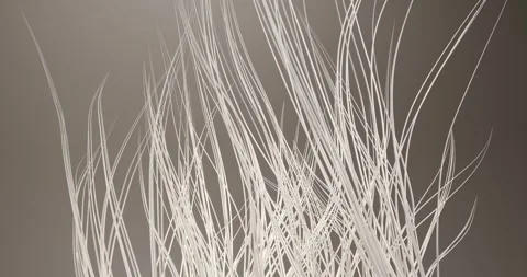 3d animation of dynamic growth and upward movement of white, thin fibers, th Stock Footage 335826980