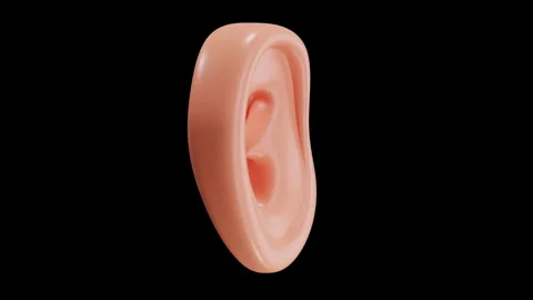 3D Animation of Ear Stock Footage 286775157