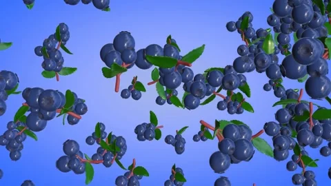3D animation of falling huckleberries with a purple gradient background Stock Footage 293002889