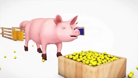 3D Animation of Farm Pig Exiting Pen and Changing Color by Eating Balls Video stock 345809853