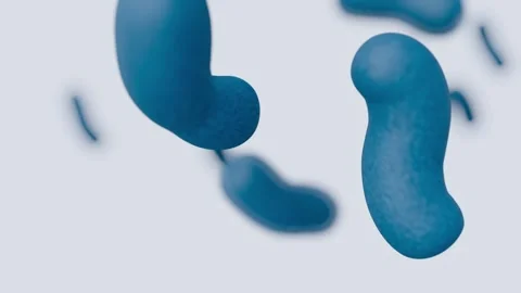 A 3D animation of floating bacillus bacteria Stock Footage 302124536