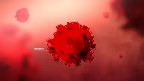 3D Animation of Flu Bacteria in Human Body - Text Indicator Stock Footage 311452192