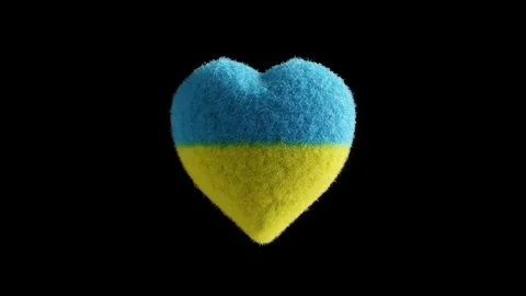 3D animation fluffy pulsating yellow and blue heart in the color of the flag of Stock-Footage 241747182