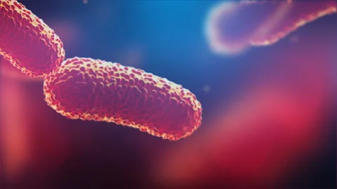 3d animation of flying over group of bacterias. Medical video background Stock Footage 88216496