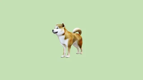 3D Animation Friendly Dog Stock Footage 243290091