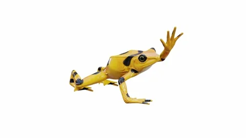 3d animation of Frog Stock Footage 241261385