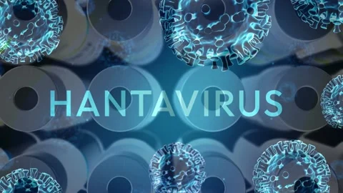 3D animation of glowing blue hantavirus  Stock Footage 336013313