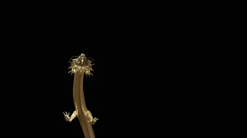 Dragon Animation Stock Footage ~ Royalty Free Stock Videos | Pond5