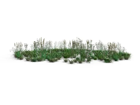 3D Animation of Grasses and Flowers Blowing In the Wind. Stock Footage 80357501