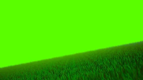 3D Animation of Green Grassy Field on Gr... | Stock Video | Pond5