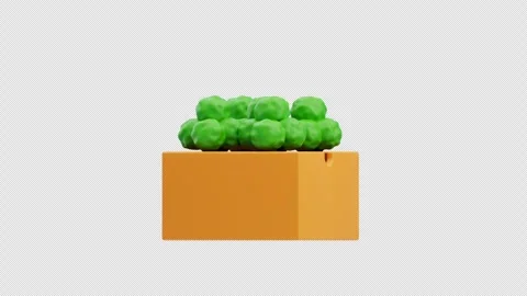 3d animation of green vegetables in box Stock Footage 333077937