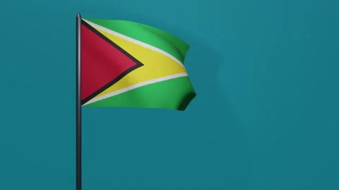 3D animation of Guyana flag waving in the wind on a blue background. Stock Footage 208767217