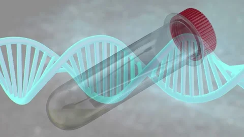 3D animation of a hantavirus test sample tube labeled  Видео 336013310