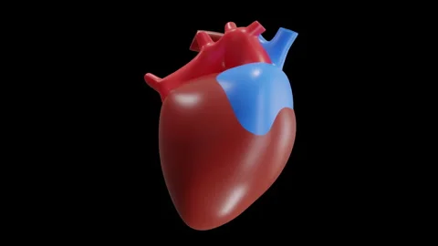 3D Animation of Heart Stock Footage 286777972