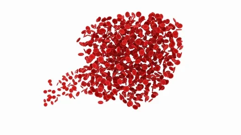 3D Animation Heart Shape Red Blood Cells Stock-Footage 87274630