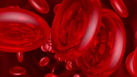 3D animation, hemoglobin cells flowing t... | Stock Video | Pond5