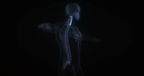 3D animation highlighting human cervical spine on black background Stock Footage 343923613