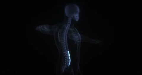 3D animation highlighting human lumbar spine on black background Stock Footage 343923615