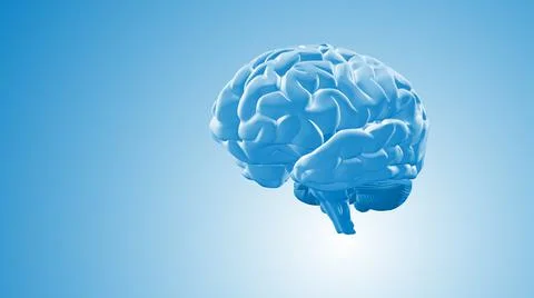 3D Animation of Human Brain Abstract Stock Illustration